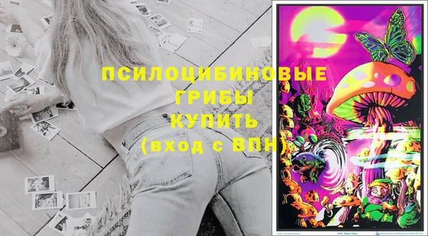 шишки Зеленокумск