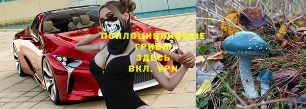 стафф Инсар