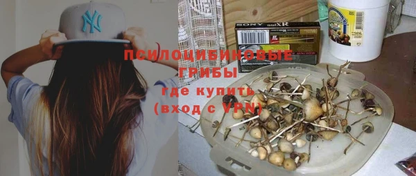 шишки Зеленокумск
