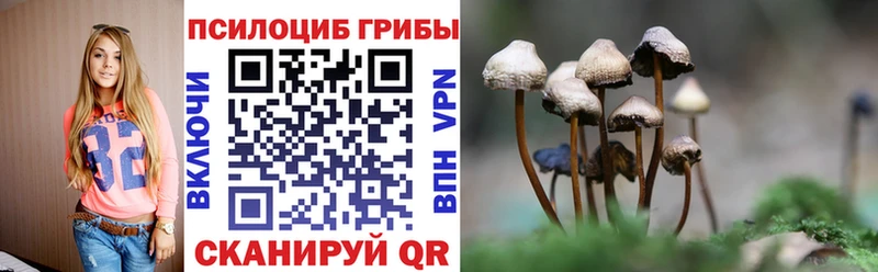 Галлюциногенные грибы Cubensis  Купить закладки  Уварово 